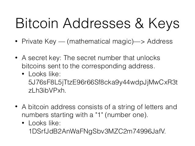 Bitcoin 101 Certified Bitcoin Professional Training Session - 